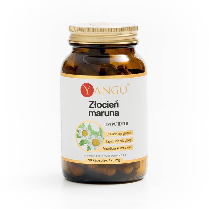 Złocień maruna - ekstrakt - 90 kaps.