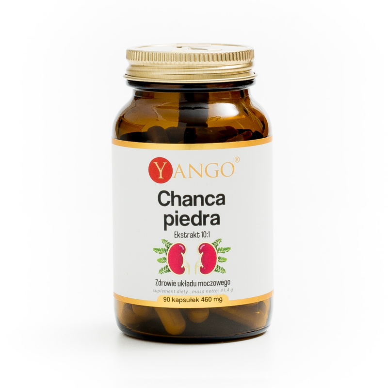 Chanca piedra - ekstrakt 10:1 - 90 kaps.