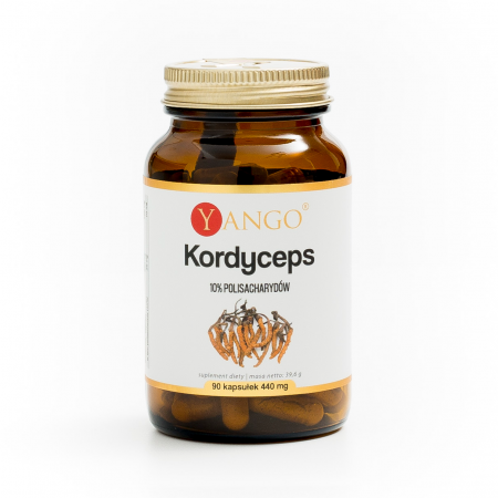 Kordyceps - ekstrakt 10% polisacharydów - 90 kapsułek