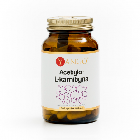 Acetylo-L-karnityna - 90 kaps.