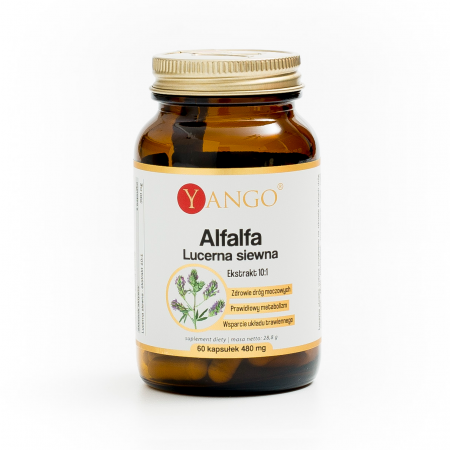 Alfalfa - Lucerna siewna - 60 kapsułek