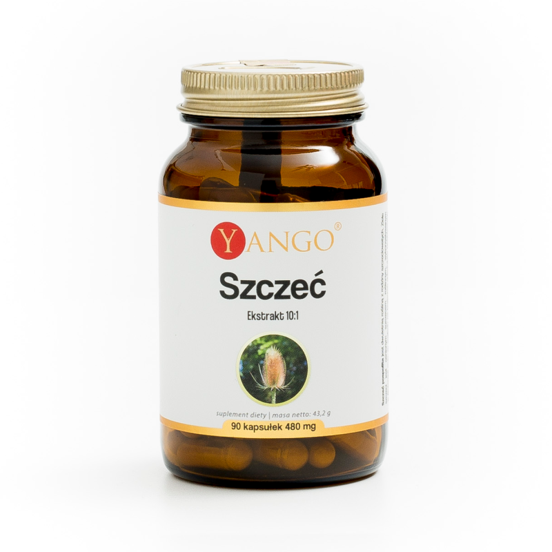 Szczeć - ekstrakt - 90 kapsułek