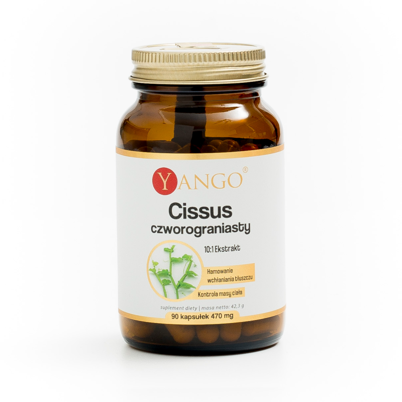 Cissus czworogroniasty - 90 kaps.