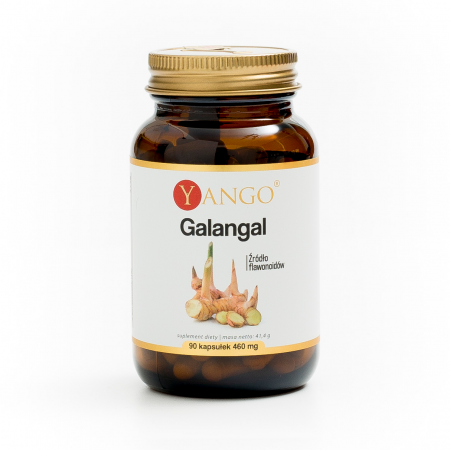 Galangal - ekstrakt - 90 kaps.