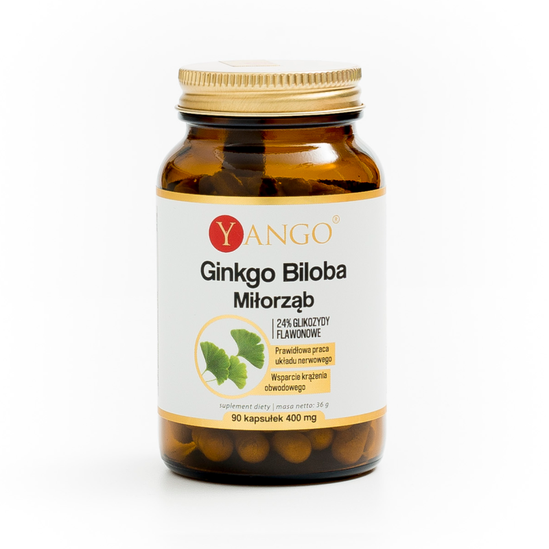 Ginkgo biloba - ekstrakt - 90 kapsułek
