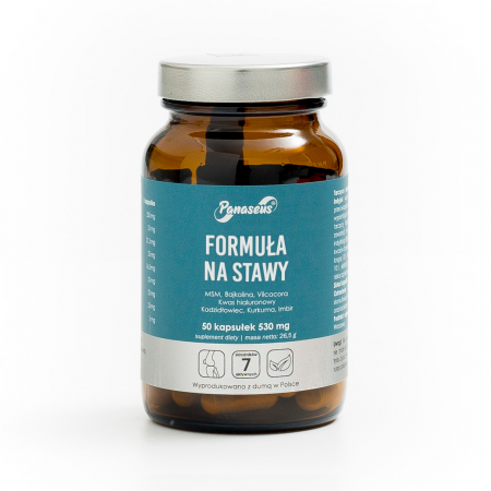 Panaseus - Formuła na stawy - 50 kaps.