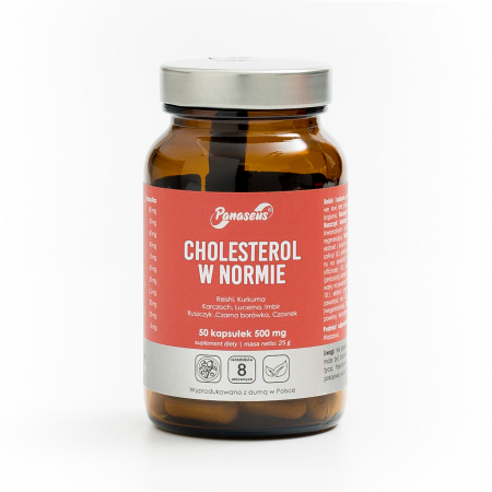 Cholesterol w normie - 50 kapsułek - Panaseus