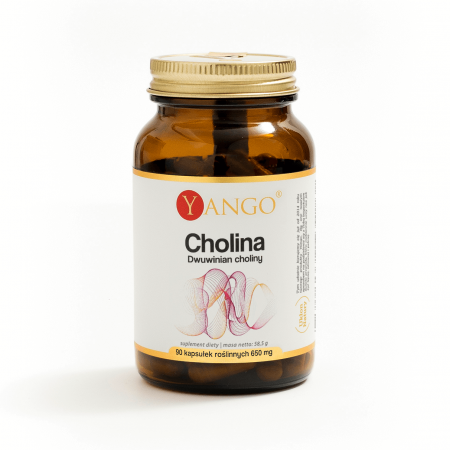 Cholina - Dwuwinian choliny - 90 kapsułek