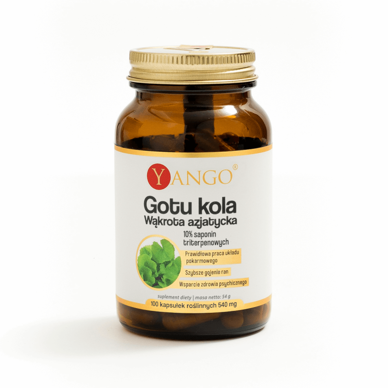 Gotu kola - ekstrakt 10% saponin triterpenowych - 100 kapsułek