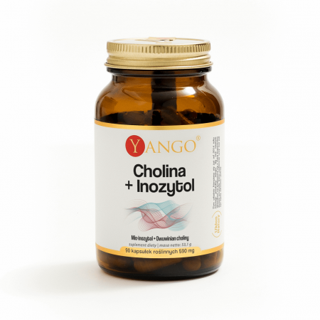 Cholina + Inozytol - 90kaps.