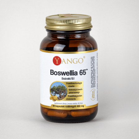 Boswellia 65™ - 90 kapsułek