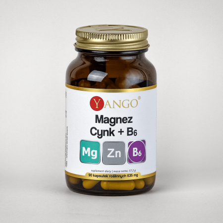 Magnez + Cynk + B6 - 90 kapsułek