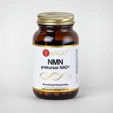 Suplement diety NMN (mononukleotyd nikotynamidu) to prekursor NAD+, biorącego udział w procesach energetycznych organizmu.