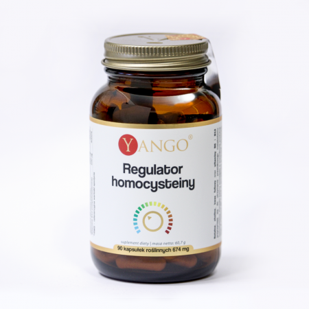 Homocysteine Regulator - 90 capsules