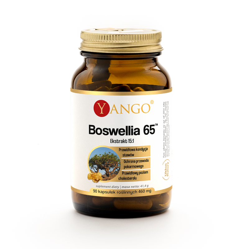 Boswellia 65™ - 90 kaps.