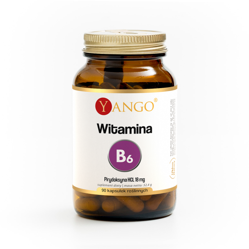 Witamina B6 - 90 kaps.