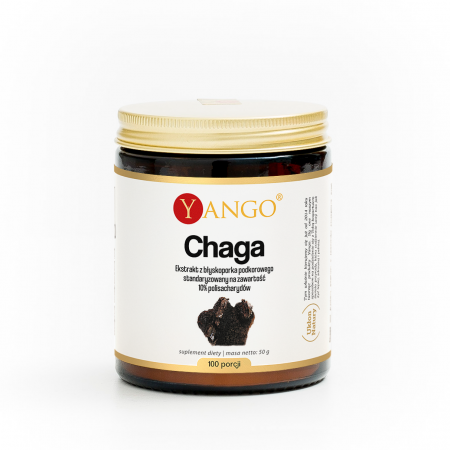 Chaga - ekstrakt 10% polisacharydów - 50 g