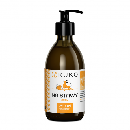 Preparat na stawy Activ - syrop 250 ml