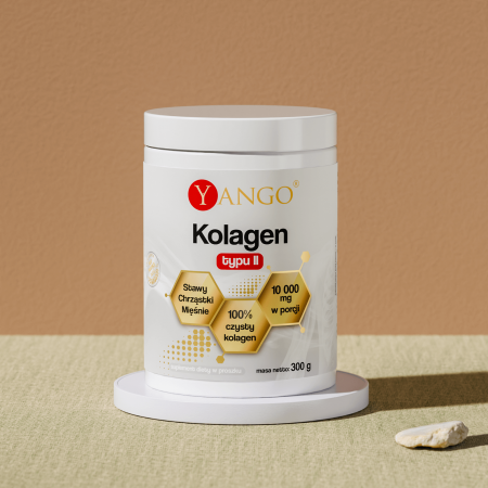 Kolagen typu II - 300g