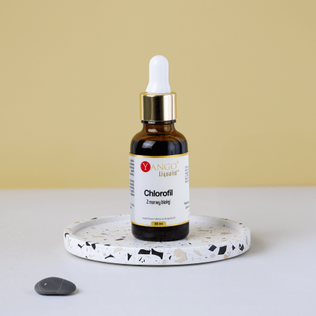 Chlorofil z morwy białej — krople 30 ml