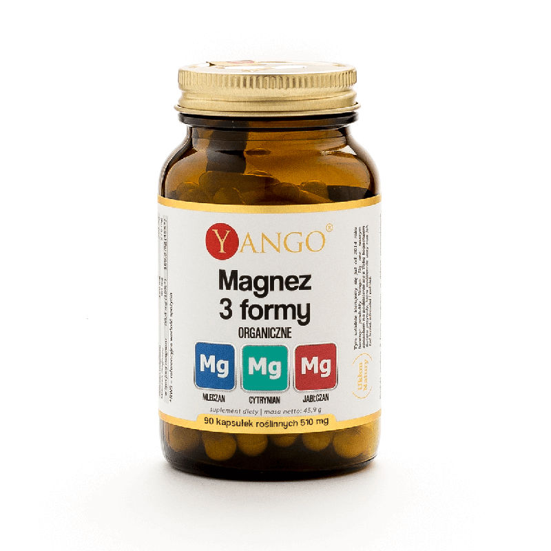 Magnez 3 formy – 90 kaps.