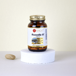 Boswellia 65™ – 90 kaps.