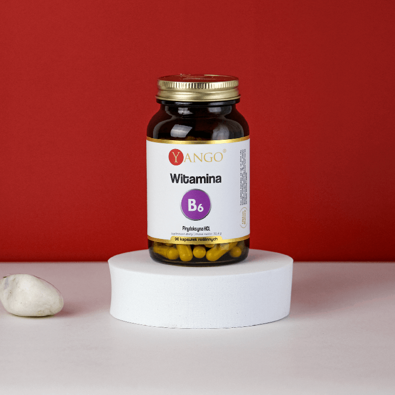Witamina B6 – 90 kaps. Witamina B6 – 90 kaps.