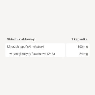 Ginkgo biloba - ekstrakt - 90 kapsułek