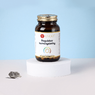 Regulator homocysteiny – 90 kaps.