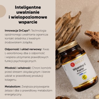 Witamina C Forte™ – 60 kaps.