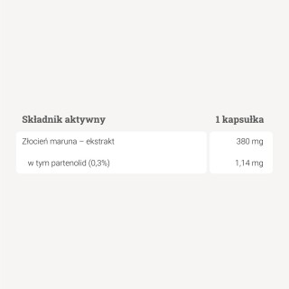 Złocień maruna – ekstrakt – 90 kaps. Złocień maruna – ekstrakt – 90 kaps.