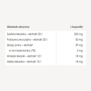 Bloker potu - 50 kapsułek - Panaseus