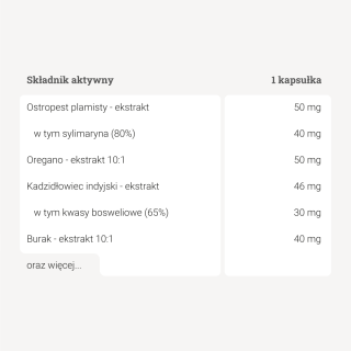 Panaseus – Formuła Na Trawienie – 50 kaps. Panaseus – Formuła Na Trawienie – 50 kaps.