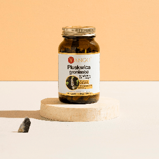 Pluskwica groniasta - ekstrakt – 90 kaps.