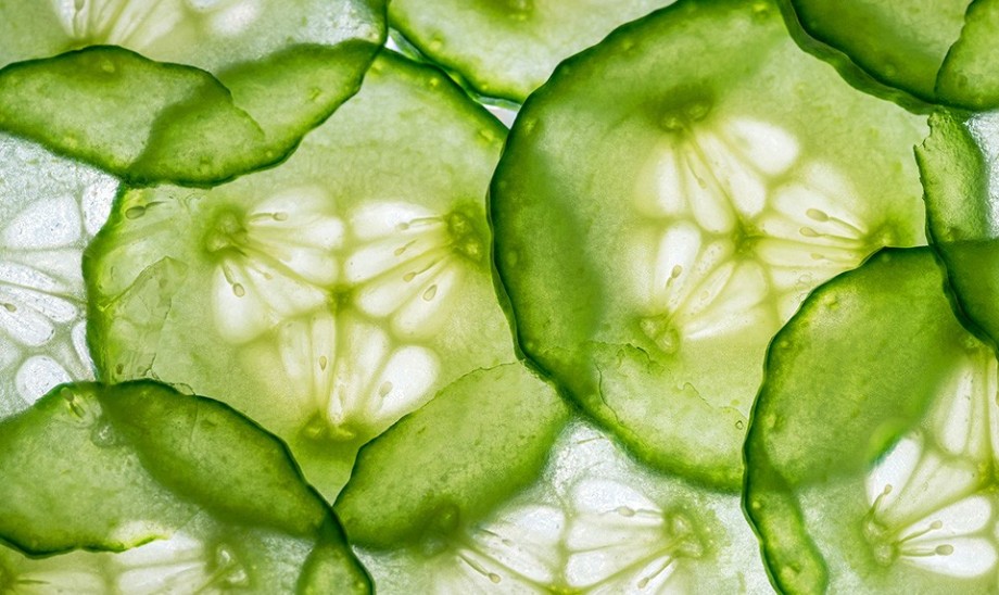 Wada ogórków, której nie znałeś