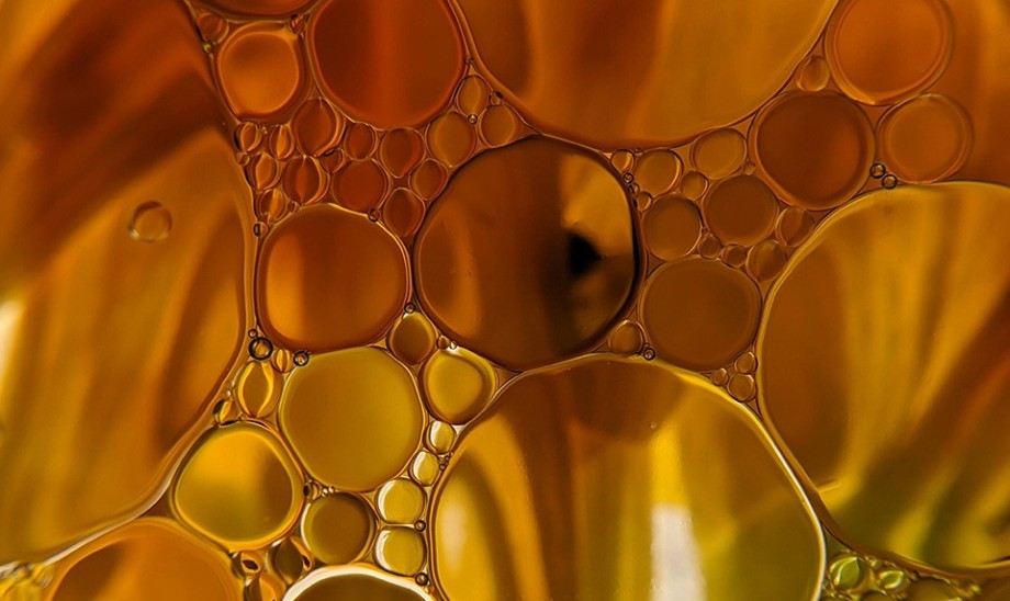 Kwasy tłuszczowe nasycone i nienasycone