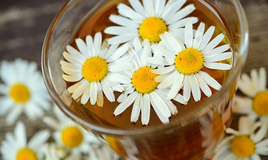 Wyjątkowy flawonoid - apigenina