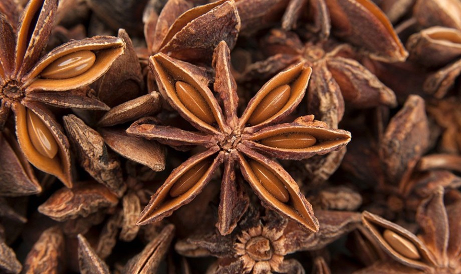 Anyż - aromatyczne lecznicze gwiazdki