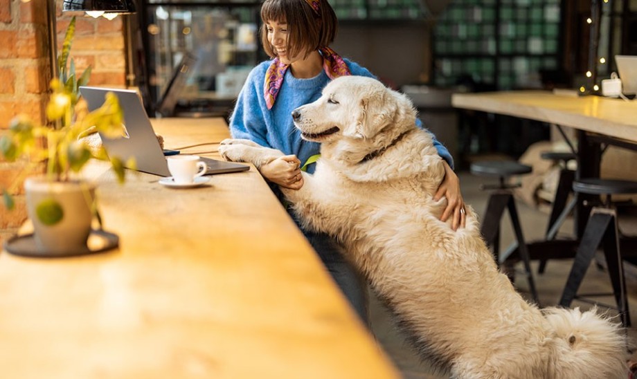 Dobroczynny wpływ zwierząt na człowieka