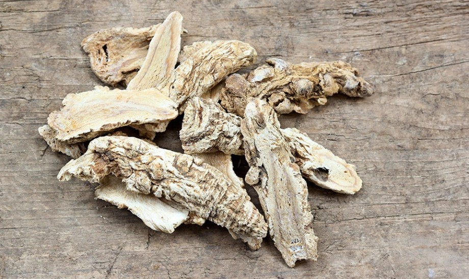 Dzięgiel chiński – na kobiece dolegliwości