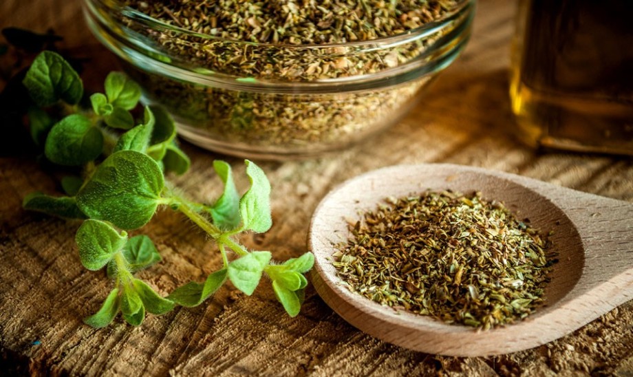 Oregano – właściwości i zastosowanie