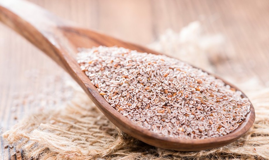 Babka płesznik – panaceum na problemy jelitowe